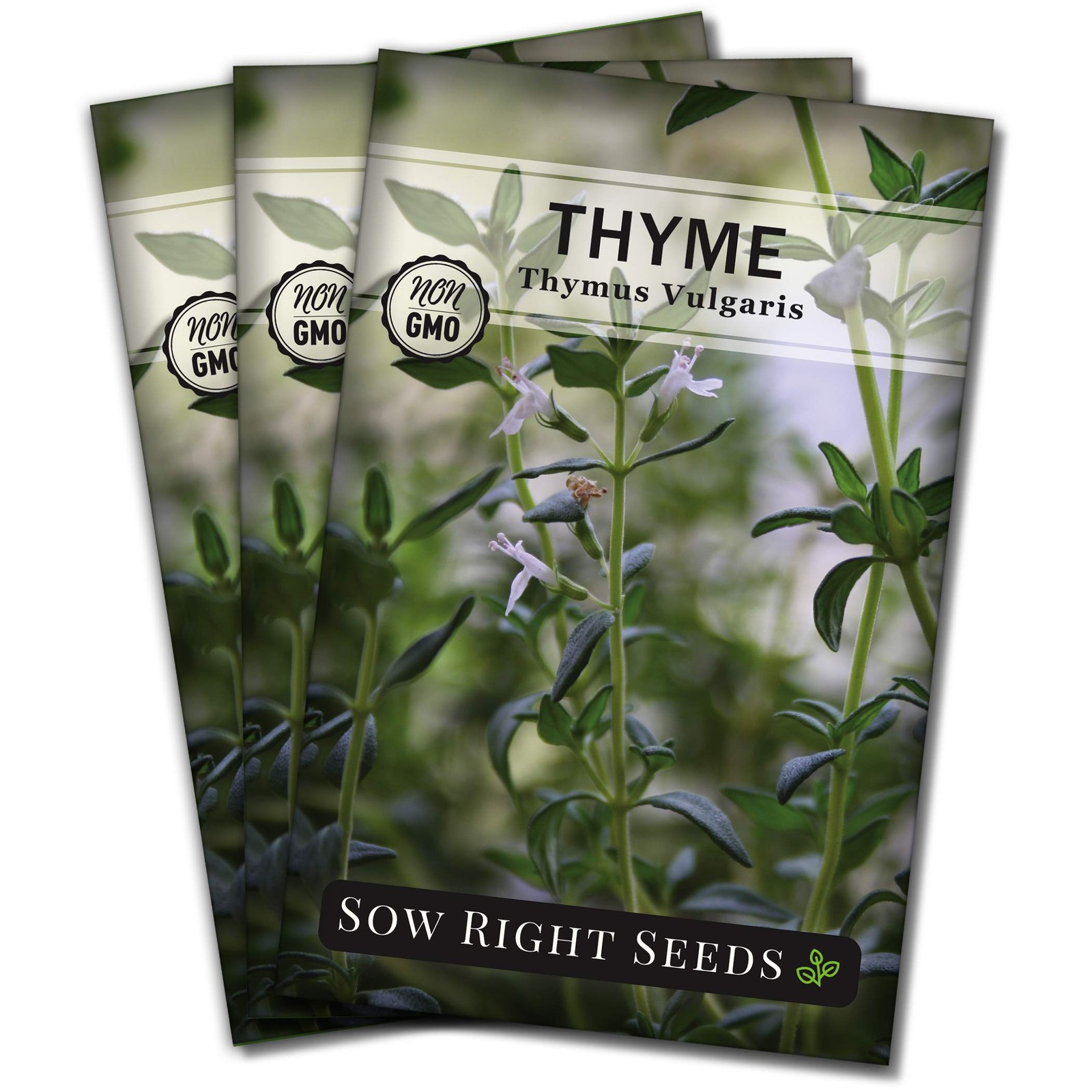 Thyme Seeds for Planting – Non-GMO Heirloom – Easy Indoor/Outdoor Herb Garden