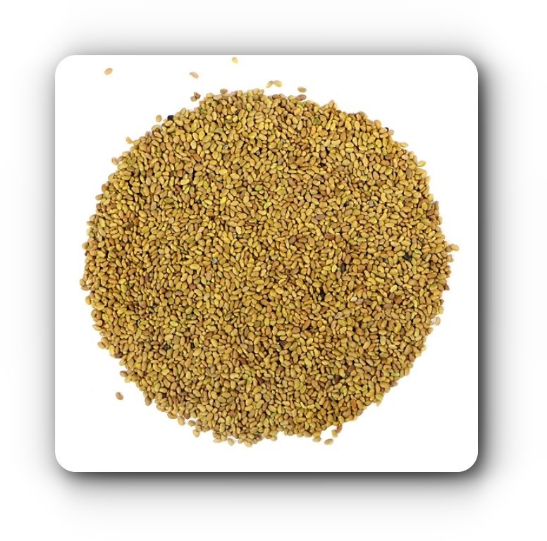 5grams 2500 seeds USA Non-GMO Organic Alfalfa Sprout Microgreens Seeds FREE SHIP