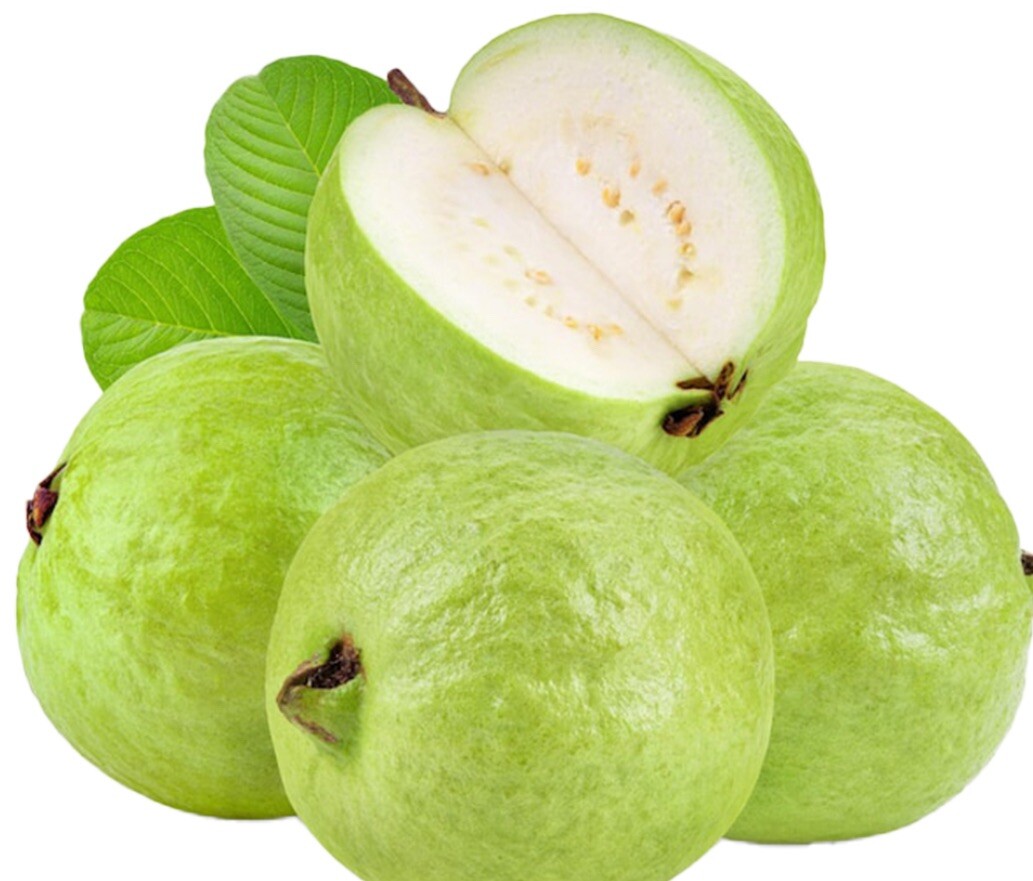Thai White Guava 200 Seeds