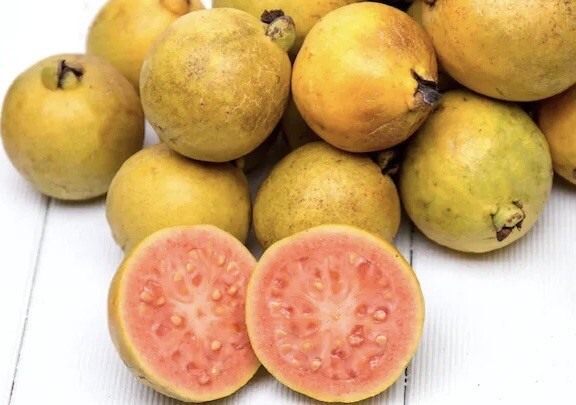 Creamy, so sweet & fragrant – Hawaii Pink Guava – 20 Seeds 2023 – USA