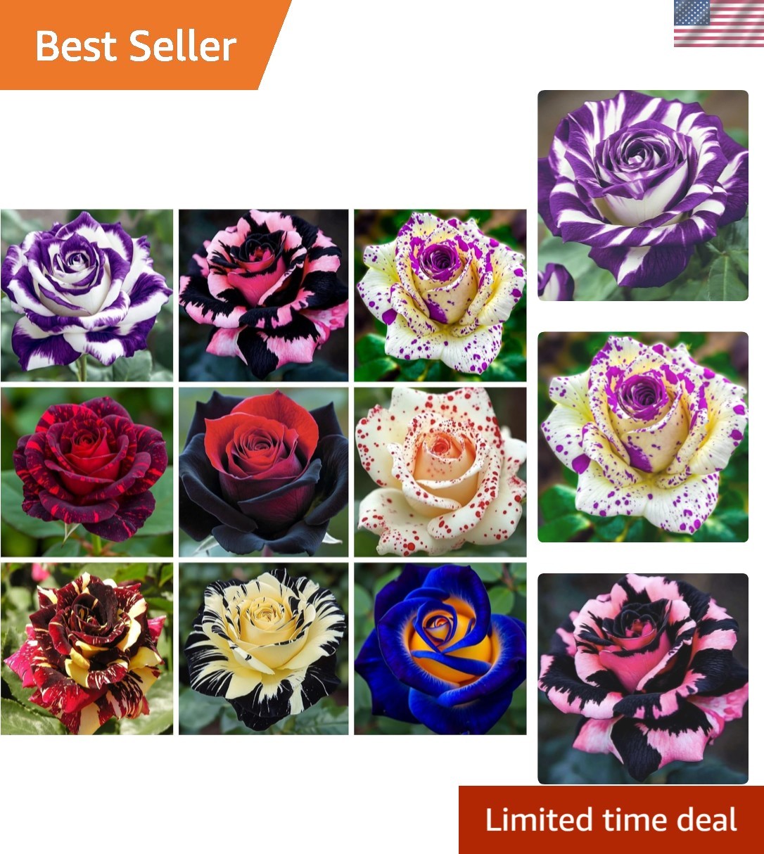 Heirloom Mixed Rare Rose Seeds: 300+ Attractive Non-GMO Flowers for Pollinators