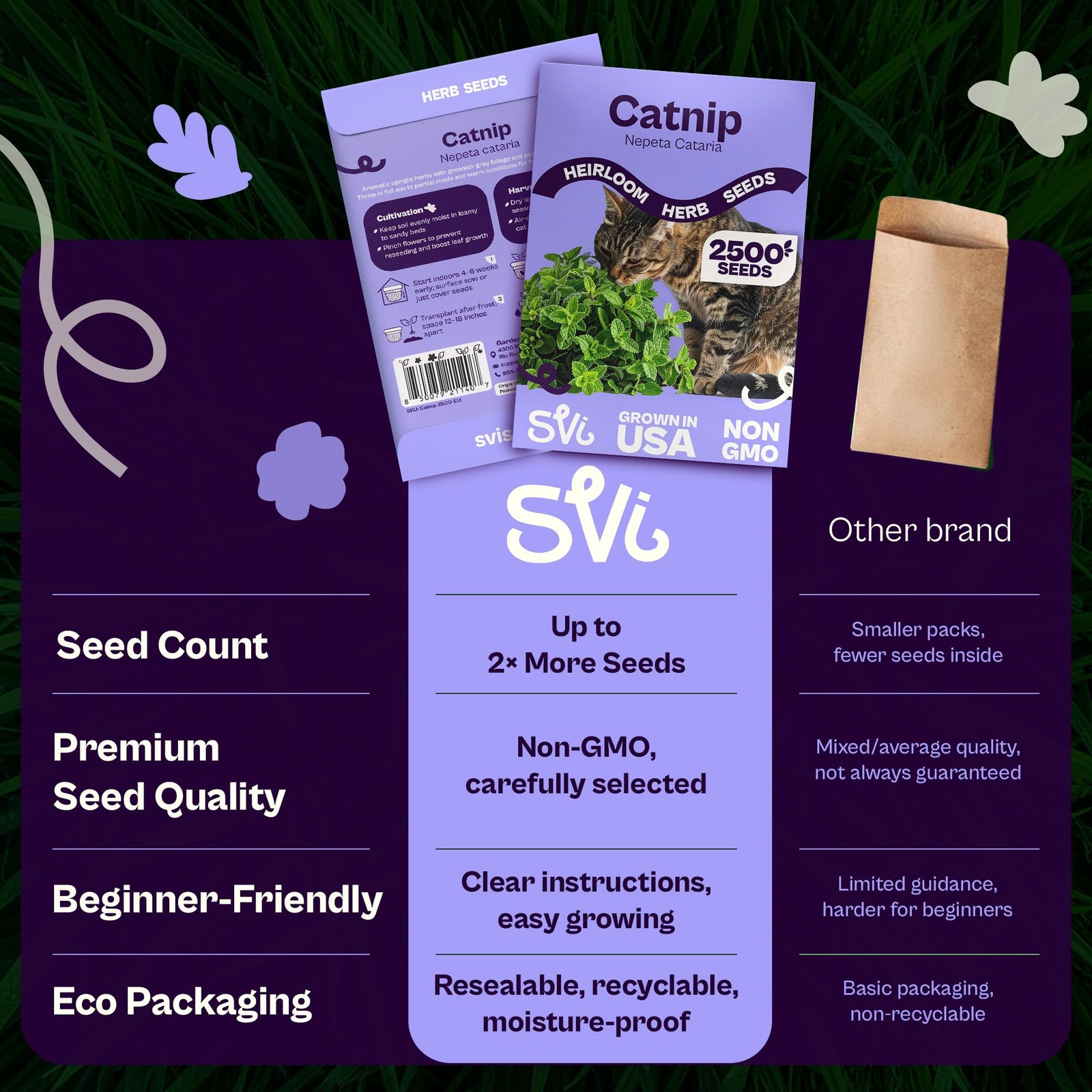 2500 Catnip Seeds Nepeta cataria – Catmint, Best Catnip for Cats Seed Packets…