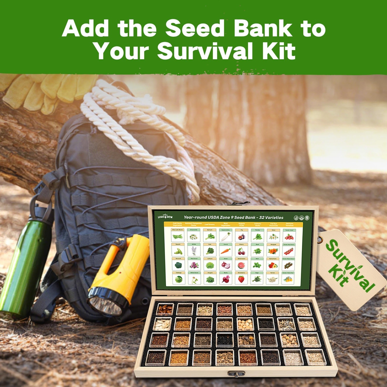 32 Varieties Non-GMO Heirloom Seed Bank for Zone 9 – Gardening Gifts for All