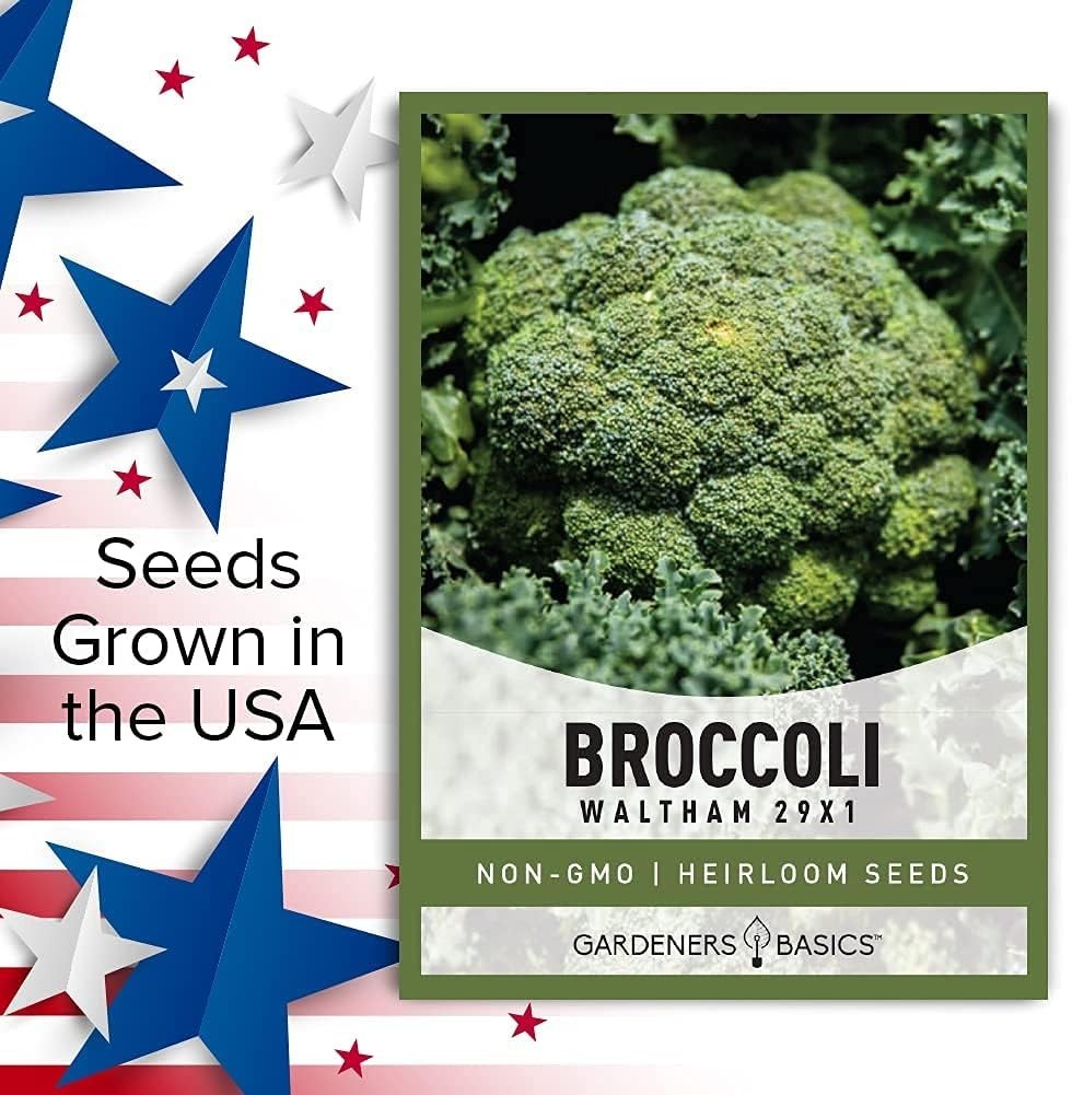 Broccoli Seeds for Planting is A Great Heirloom, Non-GMO Vegetable Variety- 1…