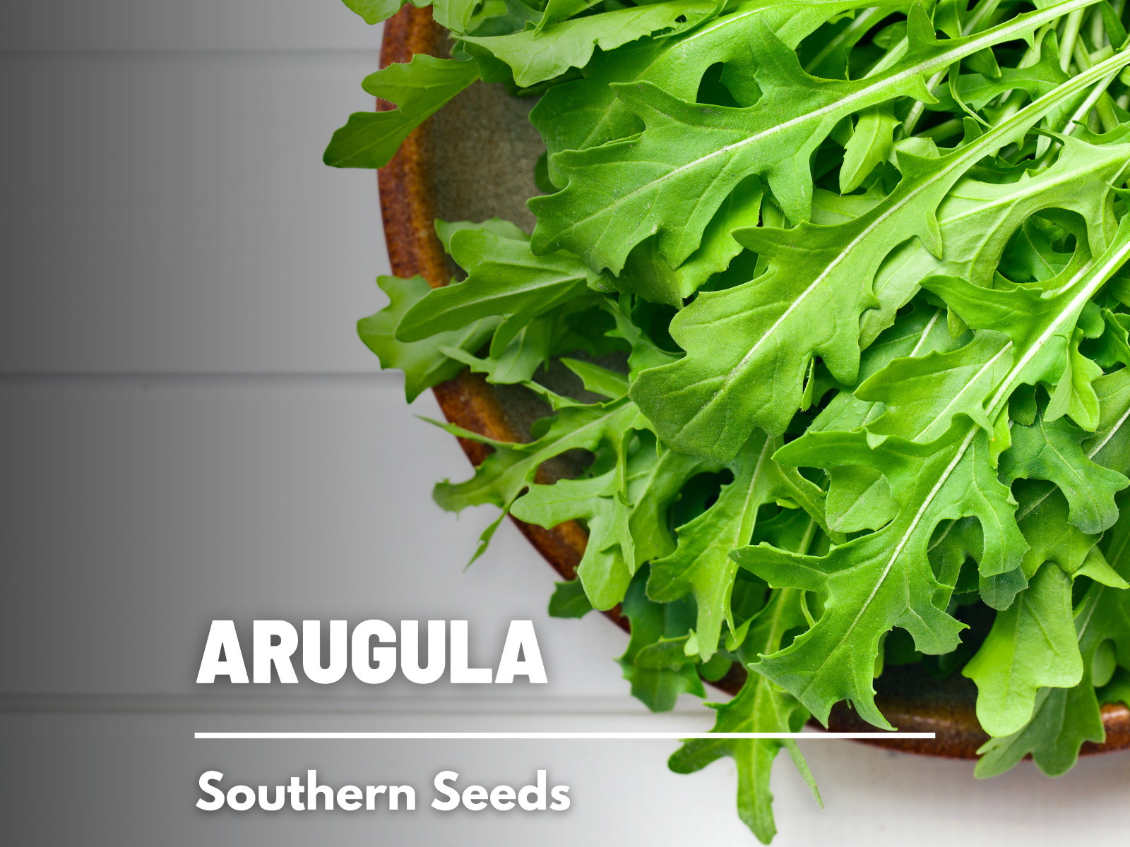 Arugula – 200 Seeds, Heirloom Herb (Eruca sativa)