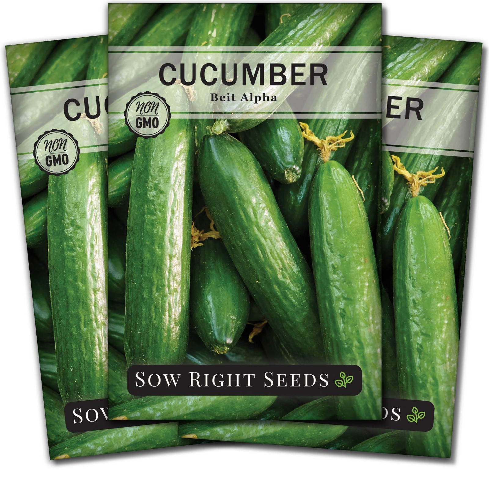 Beit Alpha Cucumber Seeds – Non-GMO Heirloom for Home Vegetable Garden (3)