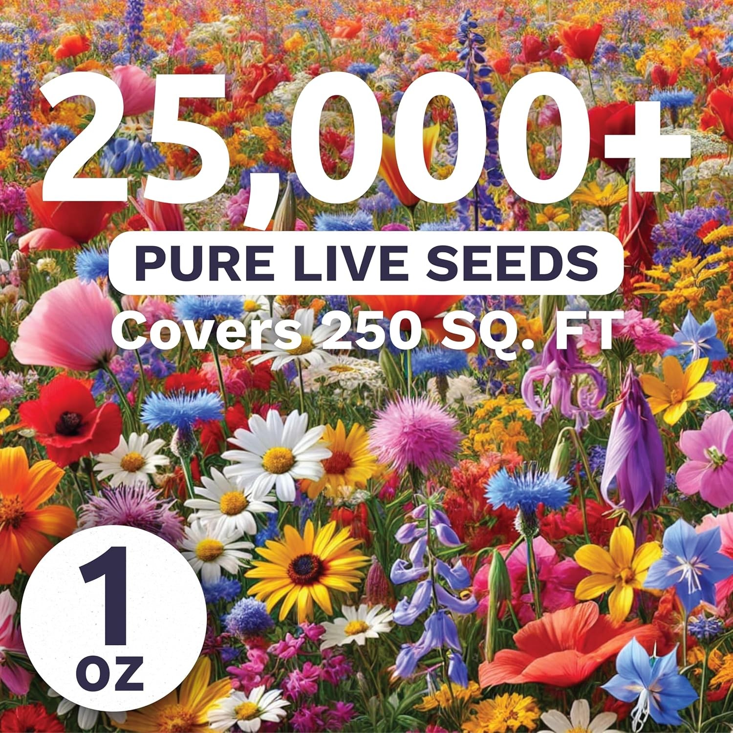 25,000 Non-GMO Rocky Mountain Flower Seeds – Large Regional Seed Mix