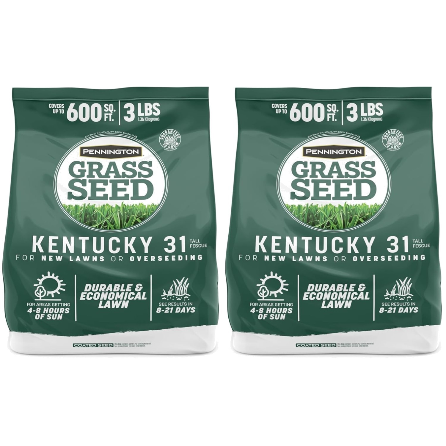 Luxurious Kentucky 31 Tall Fescue Grass Seed 3 lb (2 Pack) for Lush Green Lawns