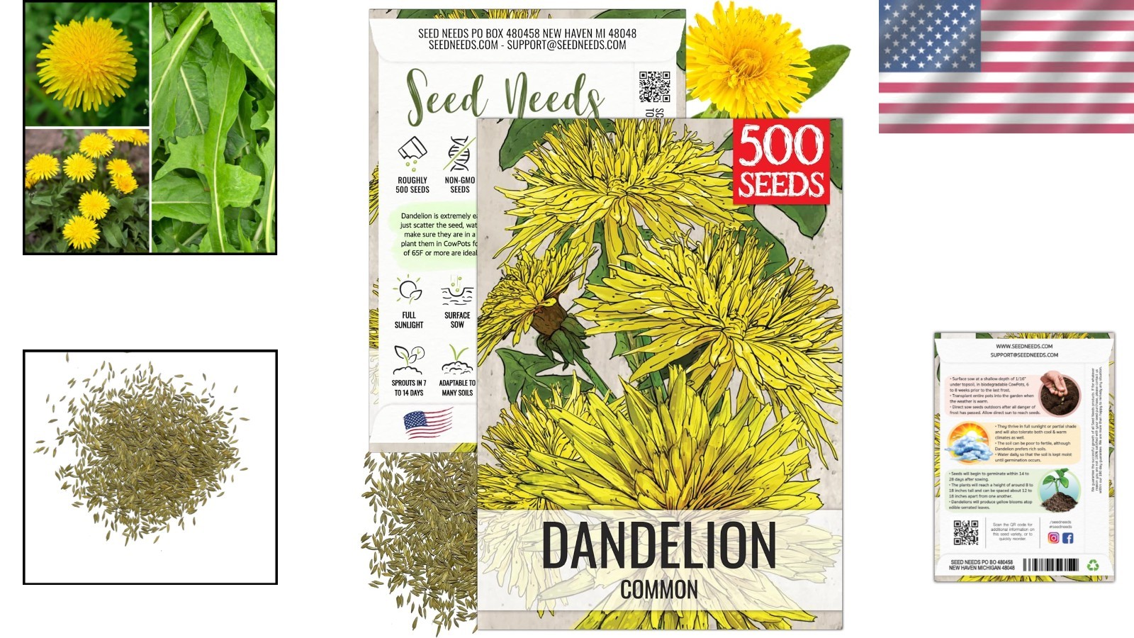 250 Pack of Non-GMO Dandelion Seeds – Grow Nutrient-Rich Greens for Your Garden