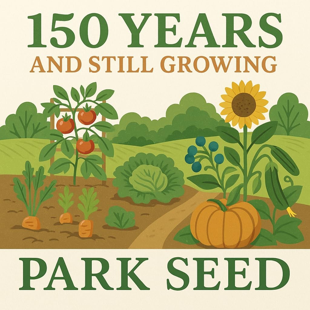 Zinnia Seeds, Planting Flowers, Easy to Grow, Non-GMO, Perfect for Spring Gar…