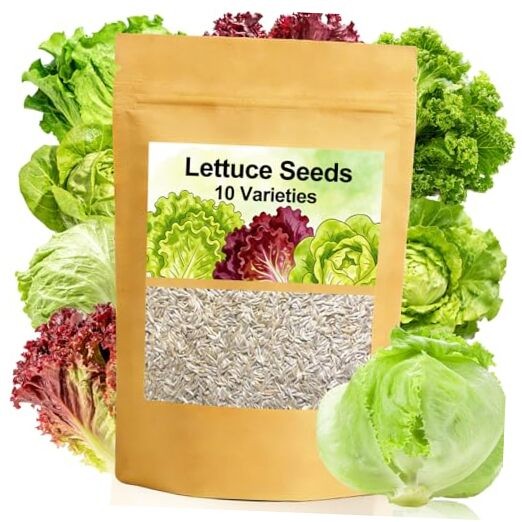Lettuce Seeds, 10 Varieties Individual Packs, 40000+ Non-GMO Heirloom