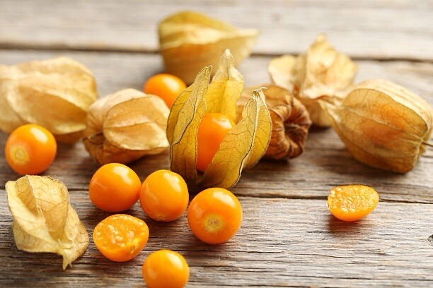 100+ SEEDS Ground Cherry | Giant Poha Berry | Container Friendly