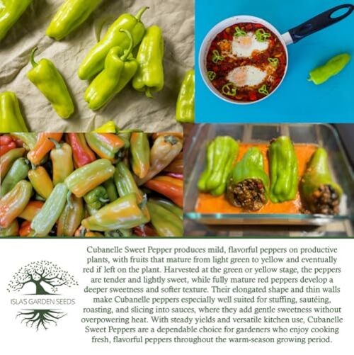 Cubanelle Sweet Pepper Seeds (Capsicum annuum) – 100+ Non-GMO Heirloom Seeds