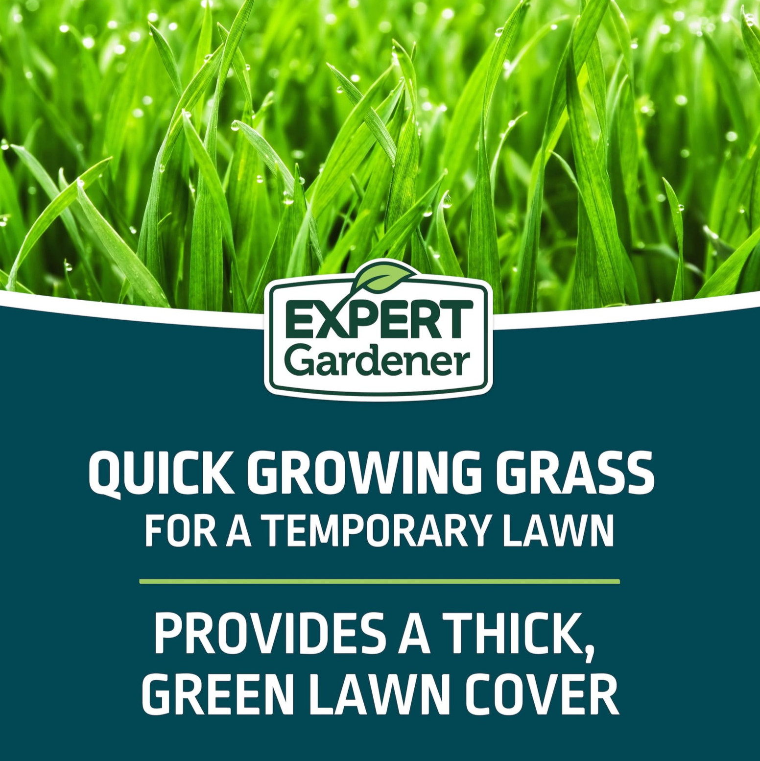 Expert Gardener Kwik Grass Seed Mix 3lb | Sun to Partial Shade Lawn Seed