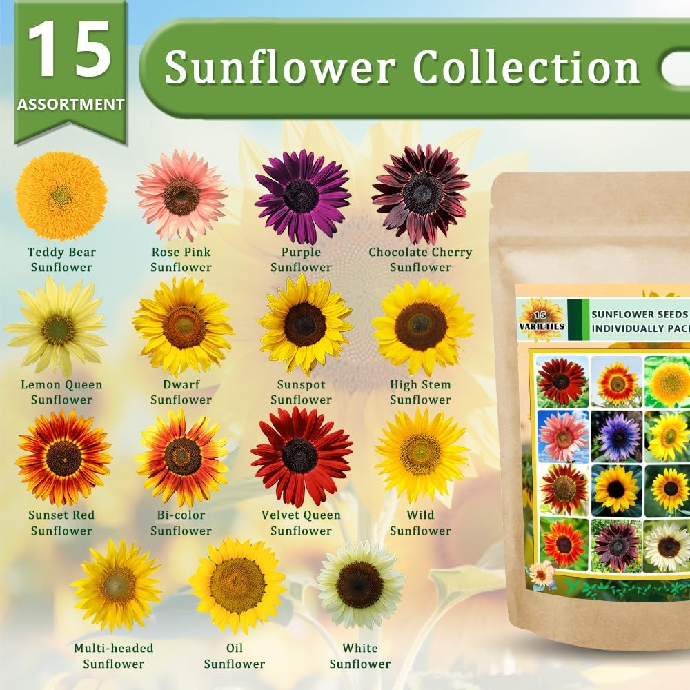 1000+ Sunflower Seeds for Planting Heirloom Non-GMO, Bulk Package of 15 Varie…