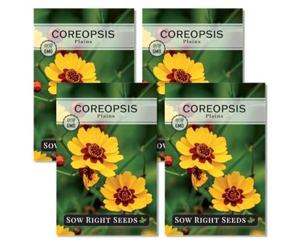– Plains Coreopsis Seeds – Non-GMO Heirloom Annual Variety – Pollinator 4