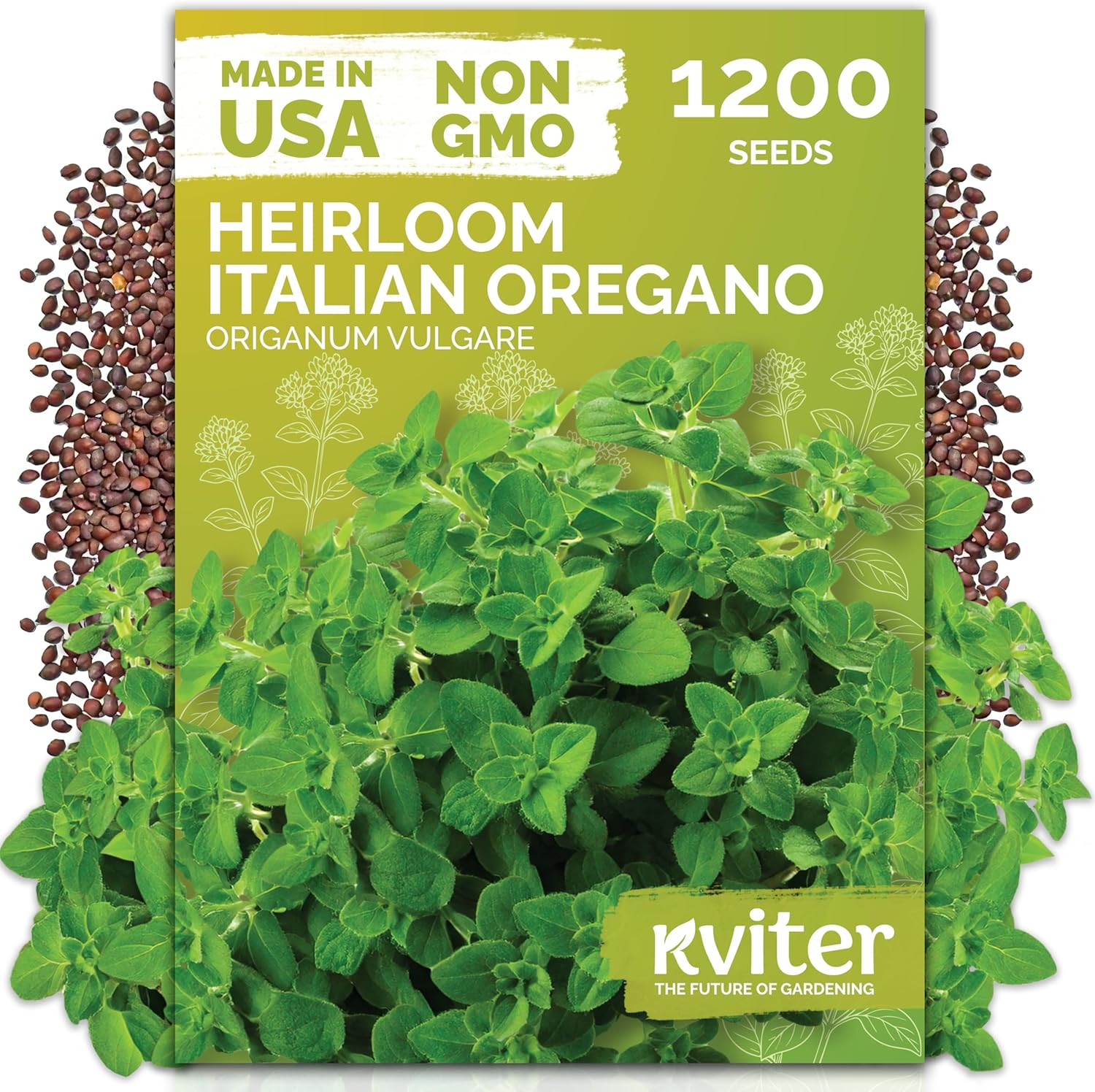 2000 Italian Basil Seeds for Planting (Ocimum Basilicum) – Sweet Genovese Basil,