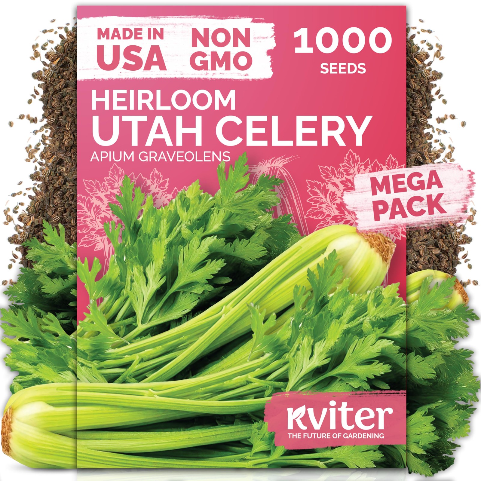 KVITER 1000 Tall Utah Celery Seeds (Apium graveolens)