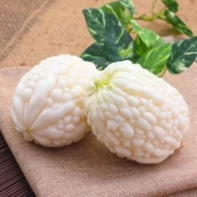 20 Seeds Very RARE WHITE APPLE BITTERMELON F1 Seeds from Known You