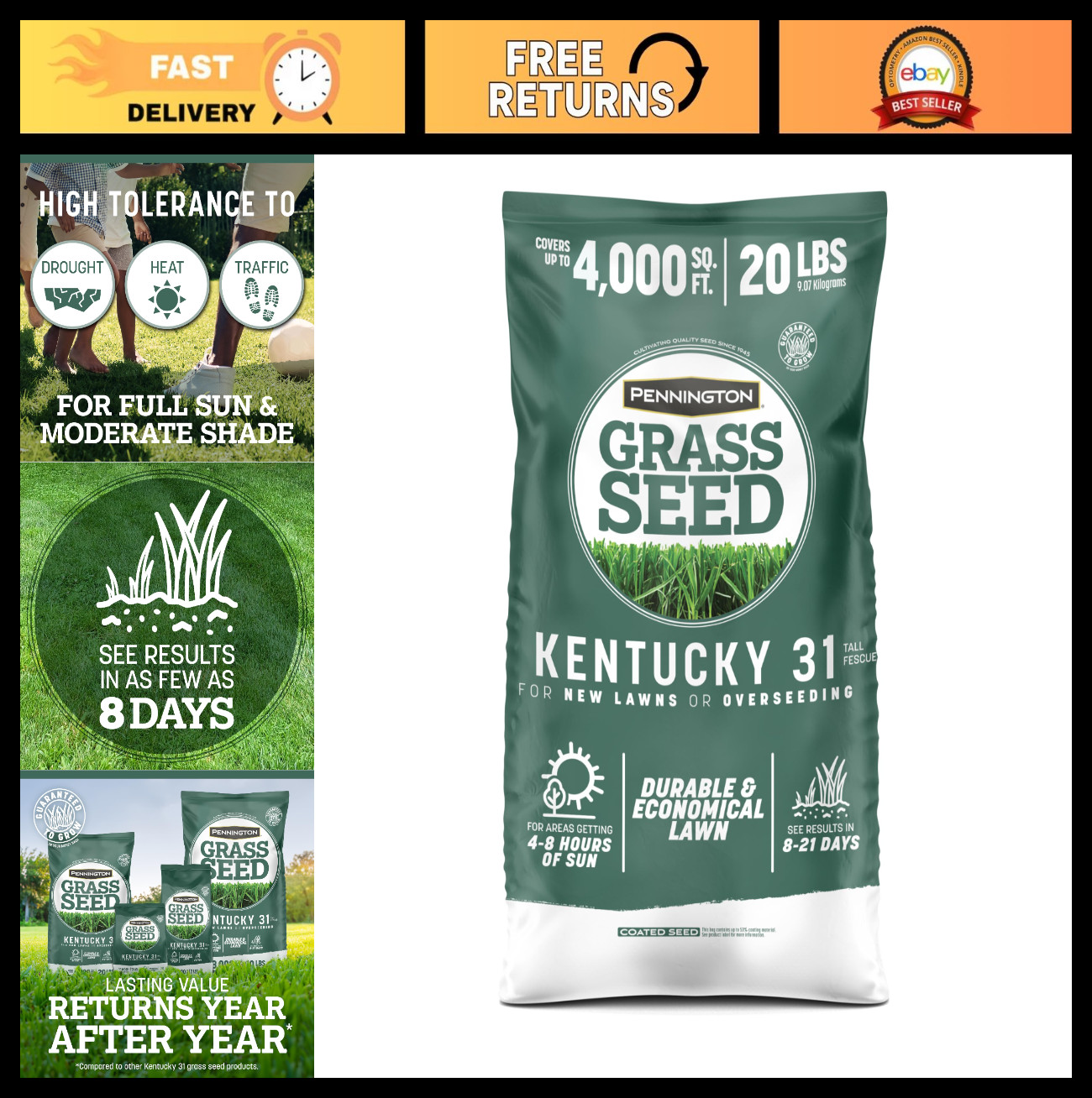 Tall Fescue Grass Seed 20 lb – Kentucky 31, Drought-Resistant, Lush Lawn Seed