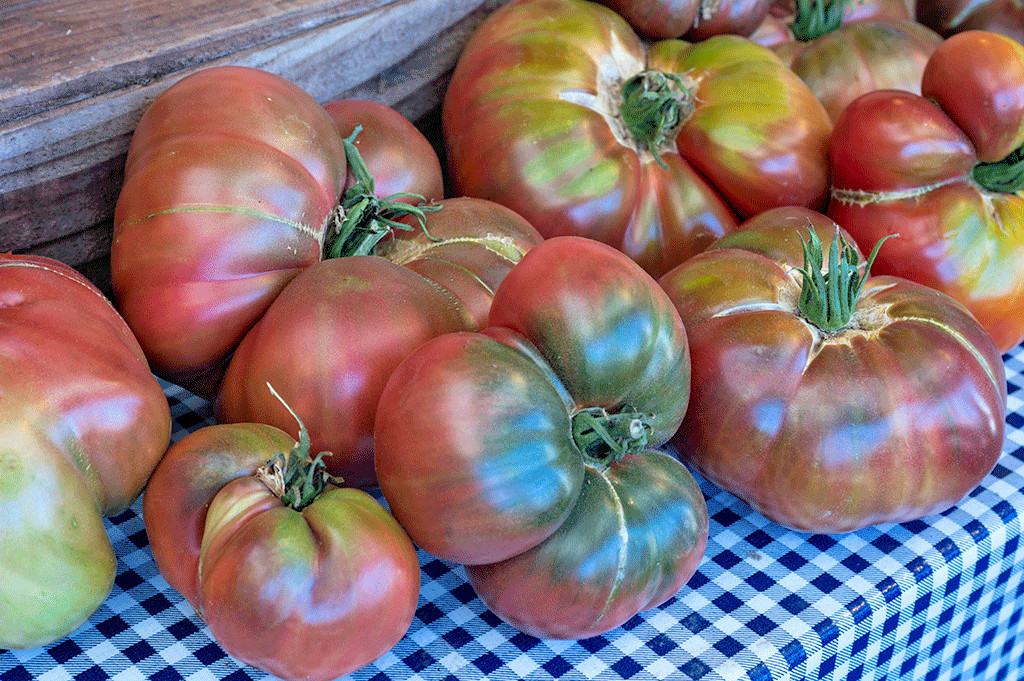 51+CHEROKEE PURPLE TOMATO Seeds Organic Native Heirloom Summer Garden Container