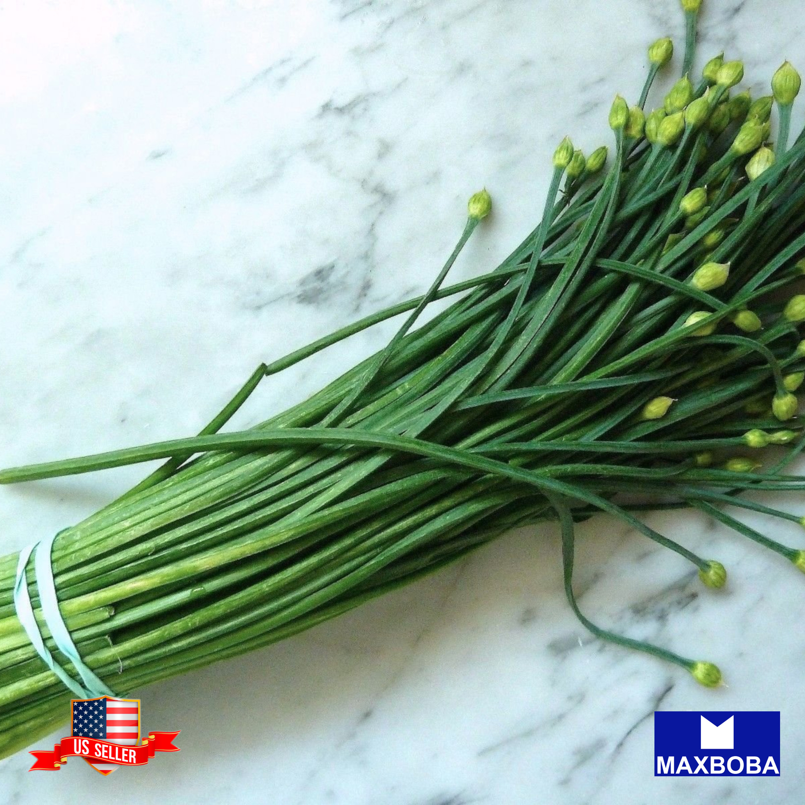 1000 Chives Seeds Garlic (Organic) Non-GMO Heirloom BOGO 50% OFF