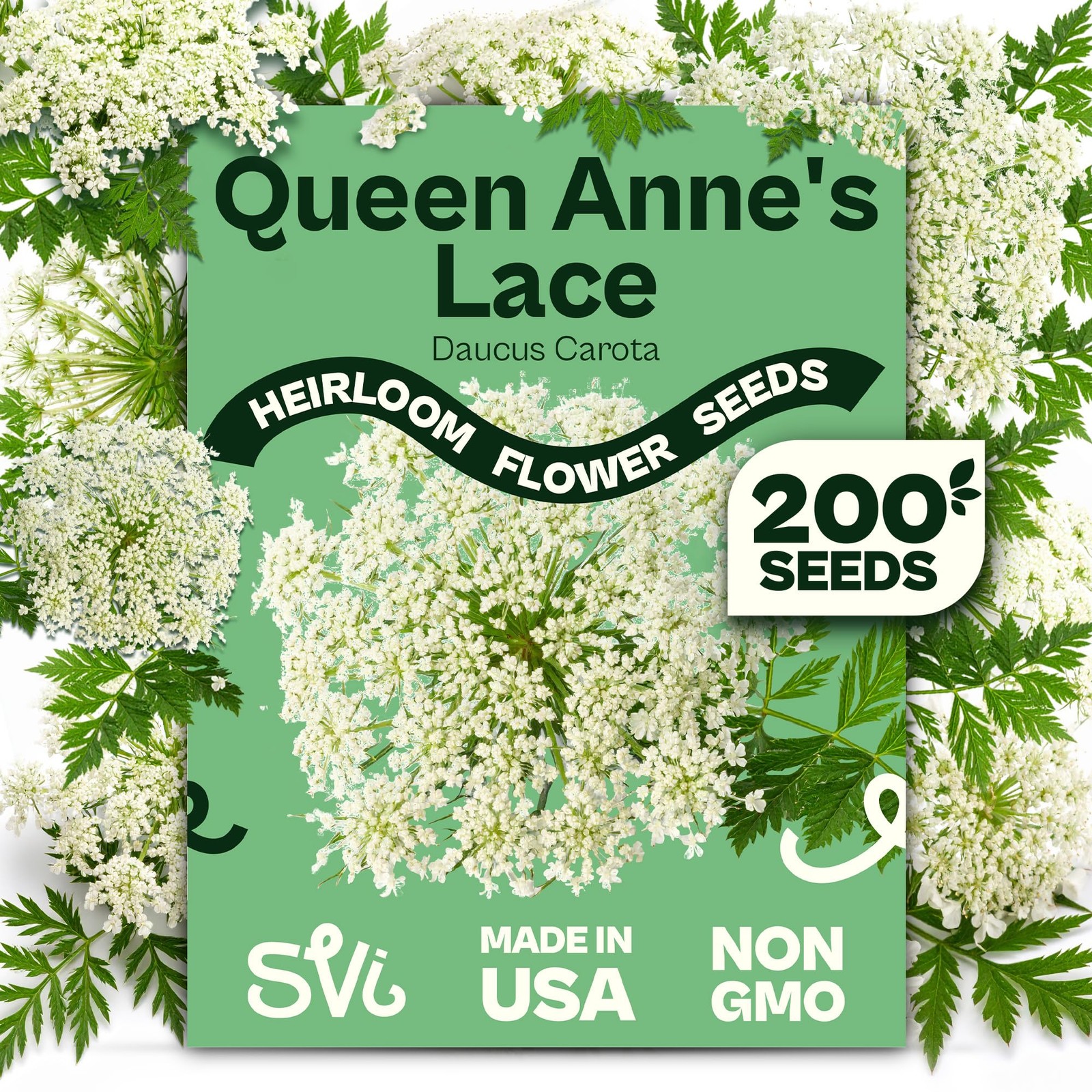 SVI 900 Queen Anne s Lace Seeds for Planting Bishop s Flower Seed Packets (Ammi