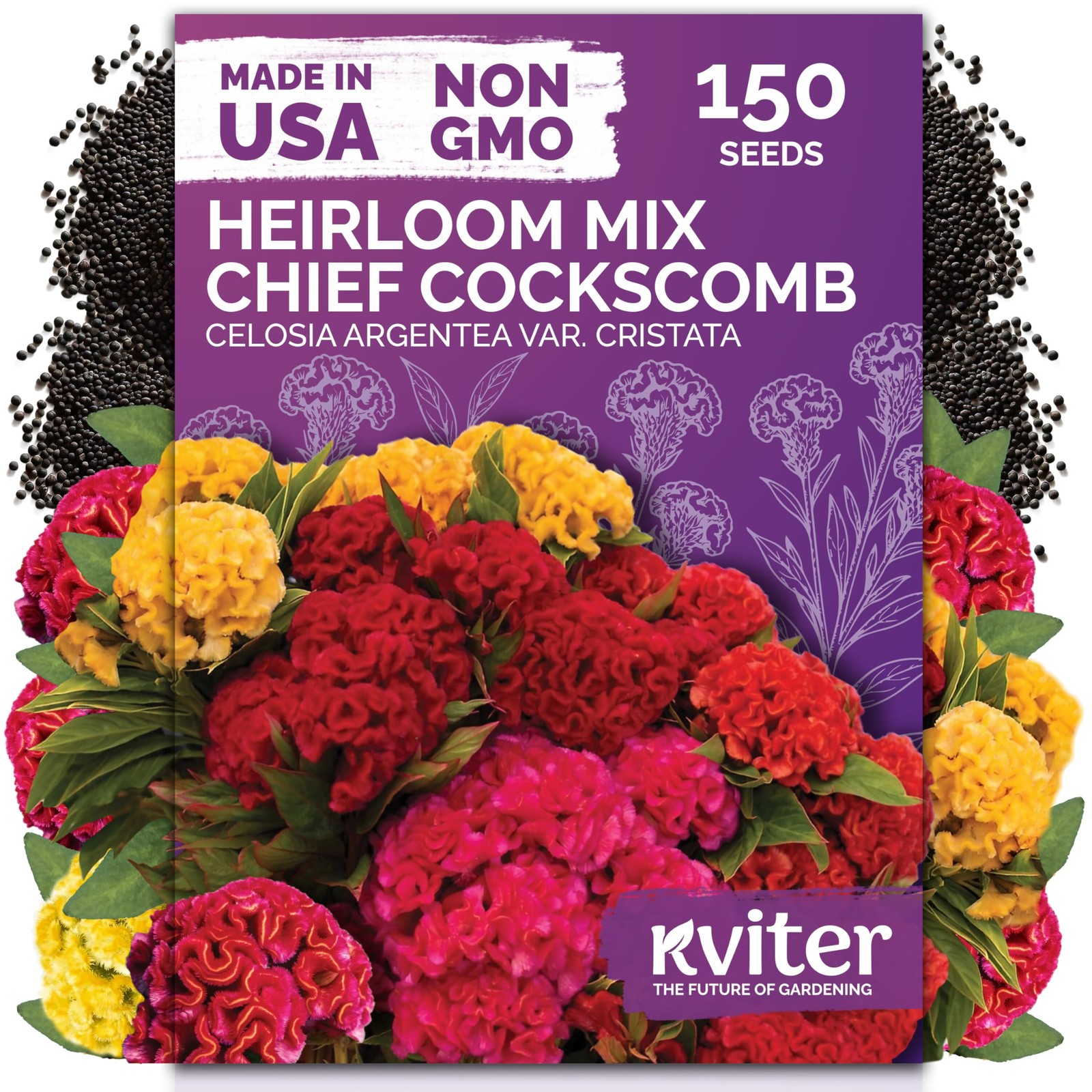 KVITER 150 Chief Mix Cockscomb Seeds (Celosia argentea)