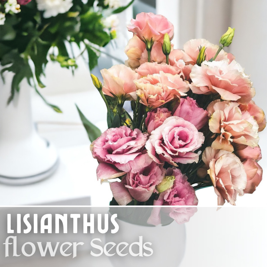 Lisianthus Seeds – 250 Seeds Garden Bloom Flower Seed Flowers Non Gmo Heirloom