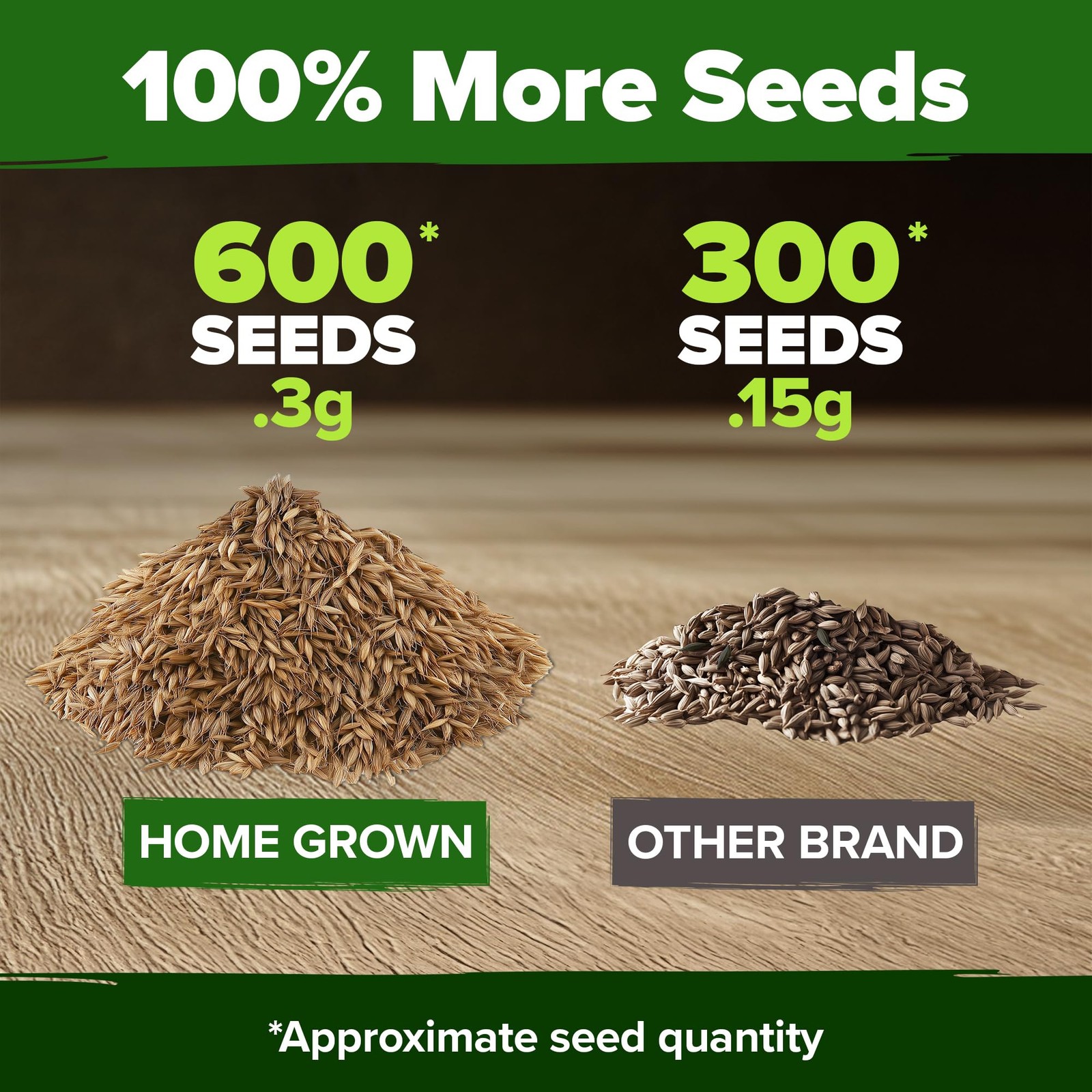 Dandelion Seeds for Planting 600 Heirloom Medicinal Herb Seeds Non GMO Grow E…