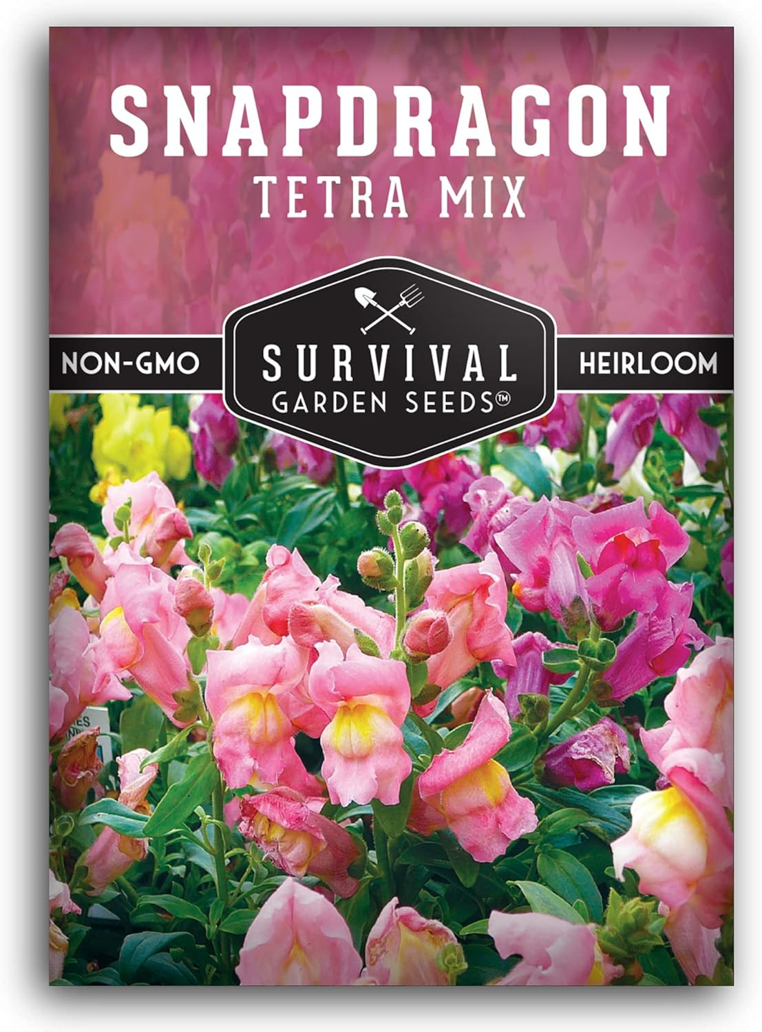 Survival Garden Seeds – Snapdragon Tetra Mix Seed for Planting – Packet with Ins