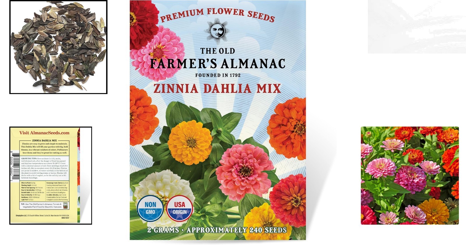 200 Non-GMO Zinnia Seeds Dahlia Mix – Vibrant, Pollinator-Friendly Blooms!