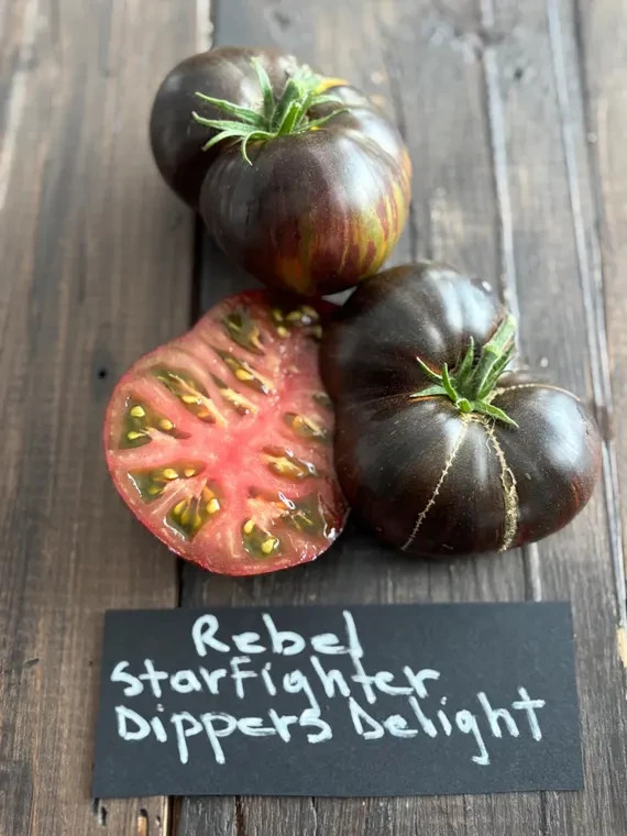 10 seeds Rebel Starfighter Dippers Delight DWARF Tomato Rare ORGANIC Variety