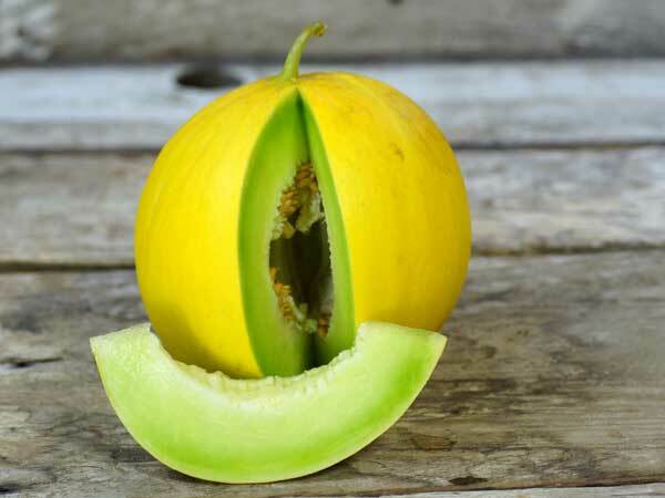 20 Golden Honeydew Melon Seeds Sweet Delicious | Free Shipping | USA Seller