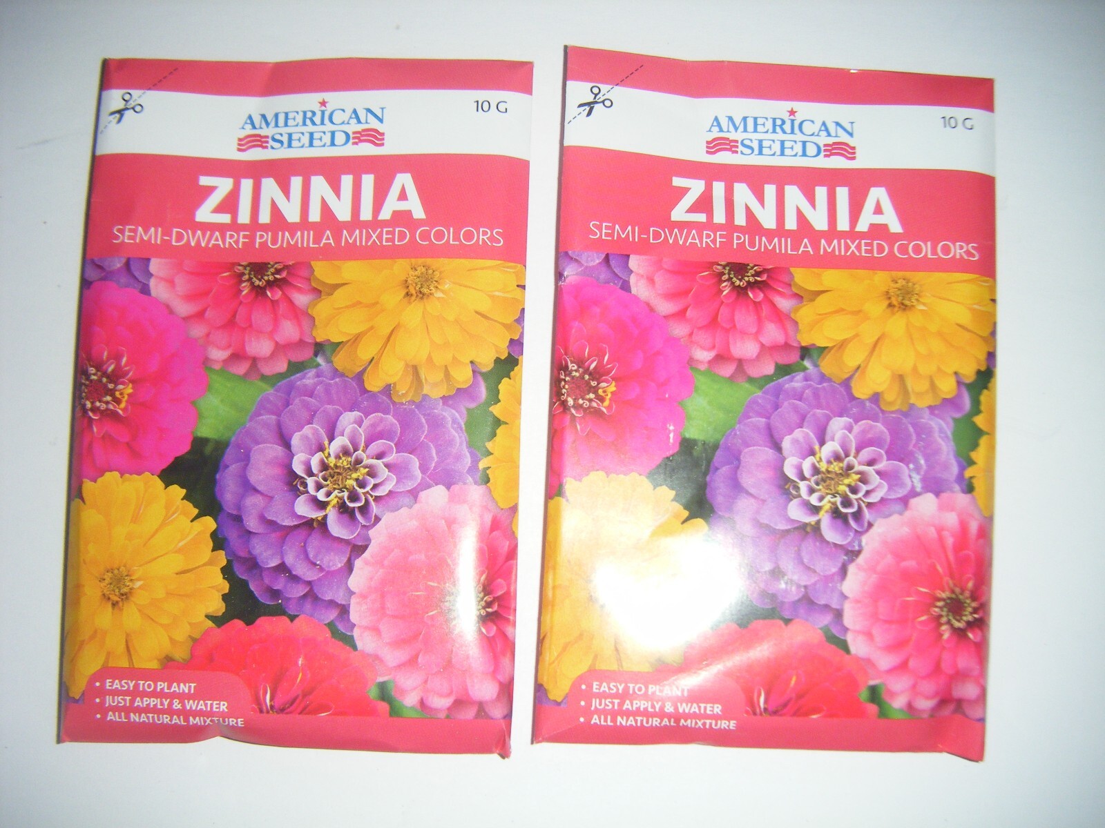 2- 10g Packs ZINNIA Semi Dwarf Pumila Mix Colors Seeds Flower Pollinators