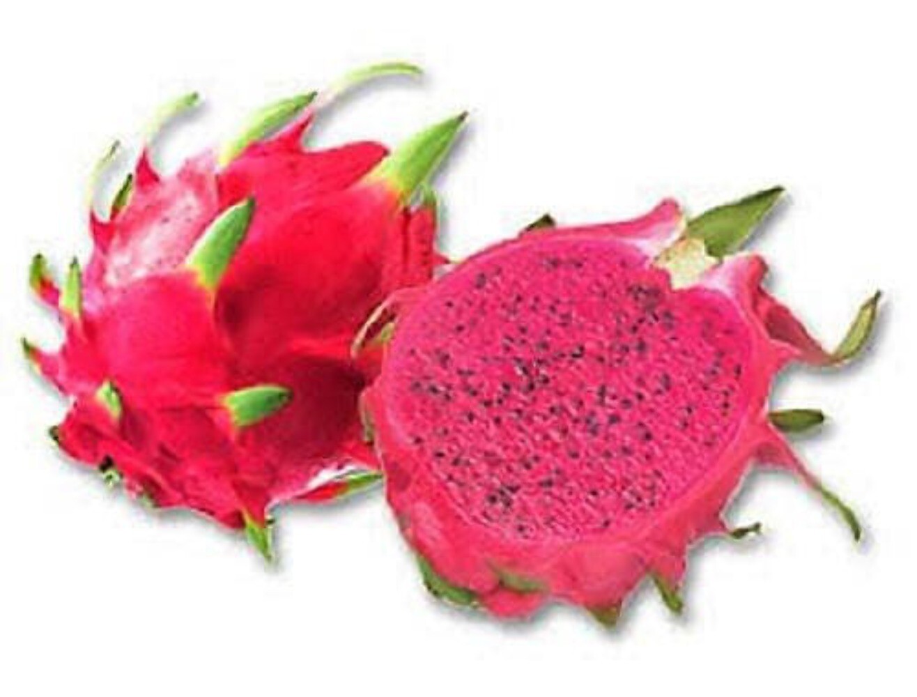 20 PURPLE DRAGON FRUIT PitayaStrawberry Pear Hylocereus Undatus Cactus Seeds