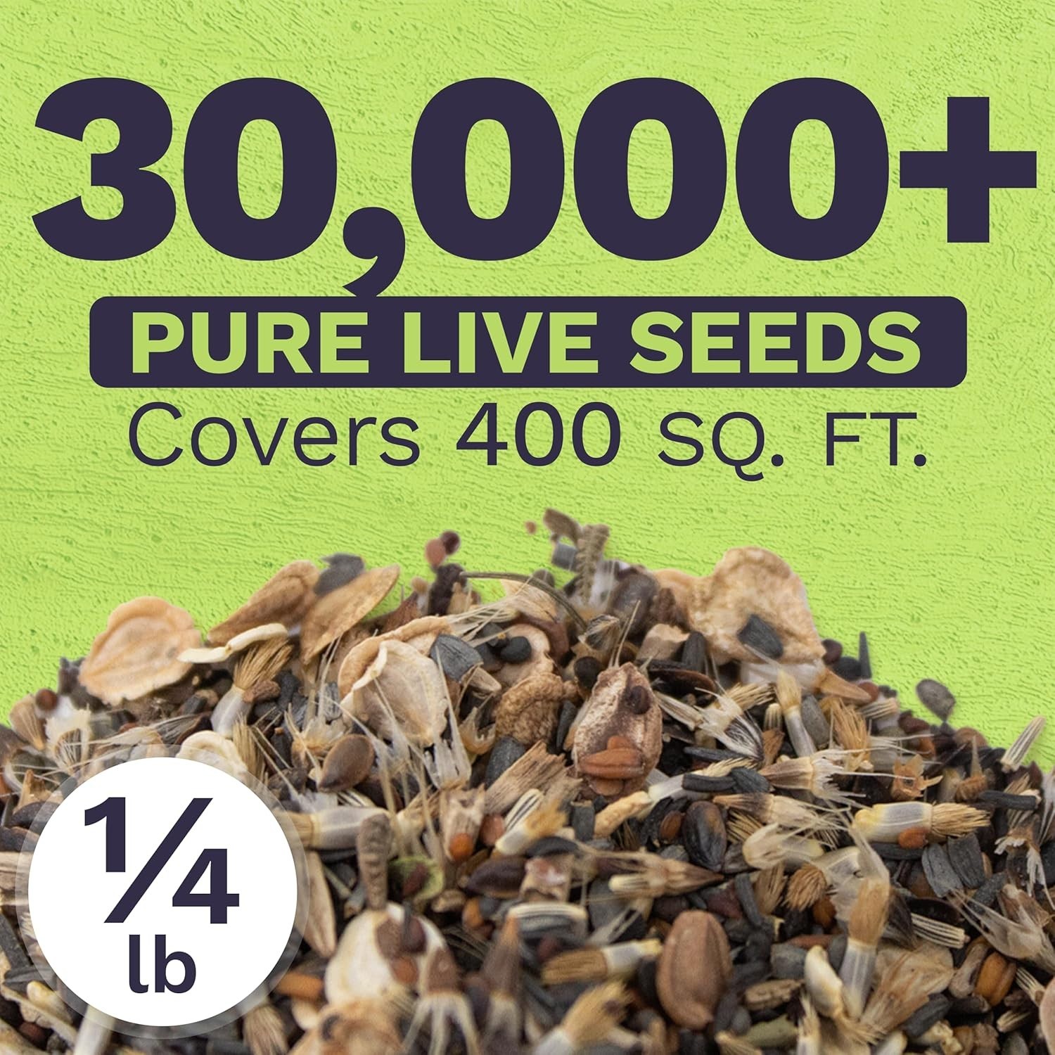 Drought Tolerant Wildflowers Mix – Bulk Quarter Pound Bag – Over 30,000 Open …