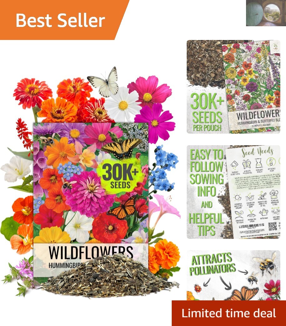 GMO-Free Wildflower Seeds Mix: 23 Varieties for Butterfly & Hummingbird Gardens