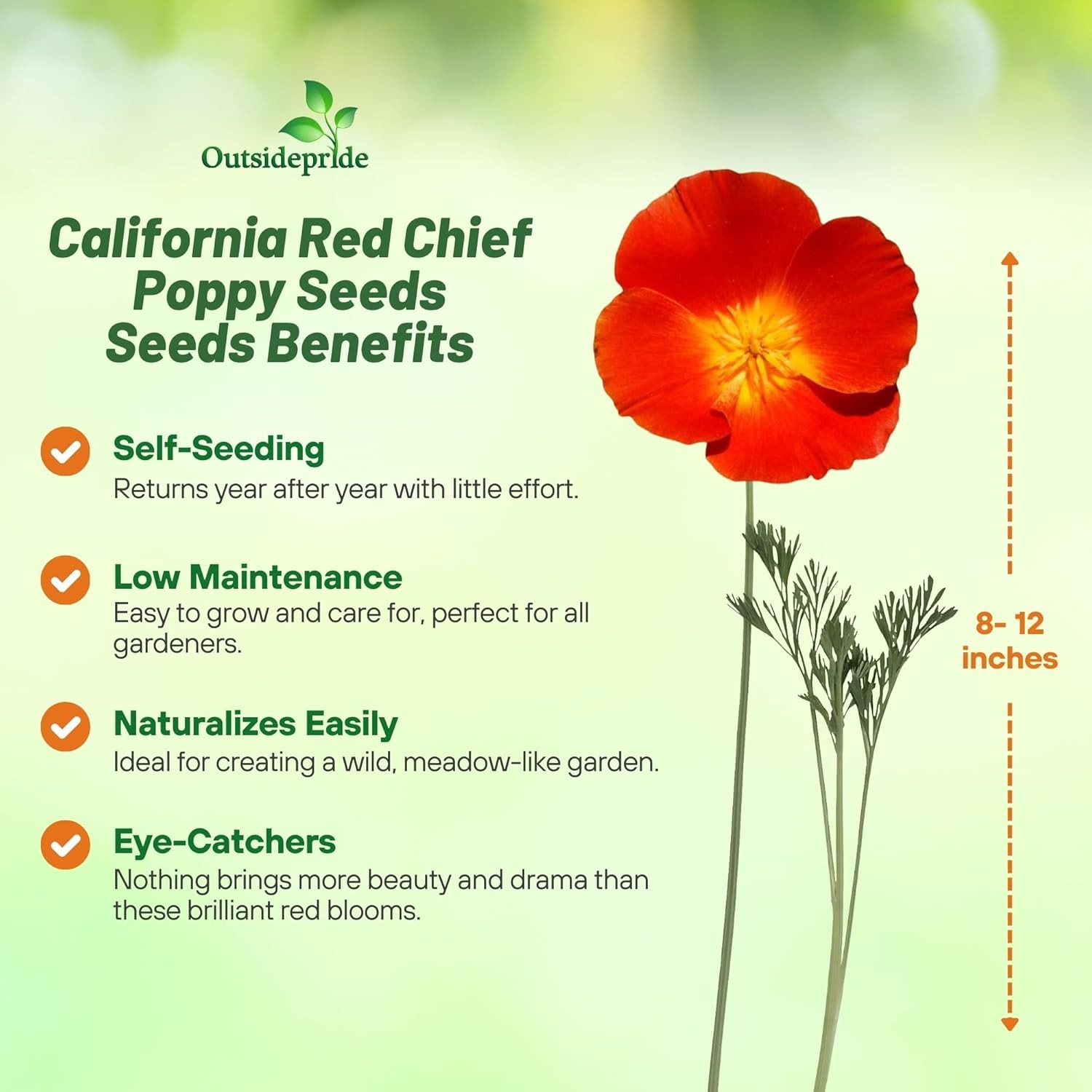 5000 Seeds Red California Poppy Flower Seed For Planting | Seeds For Xeriscaping
