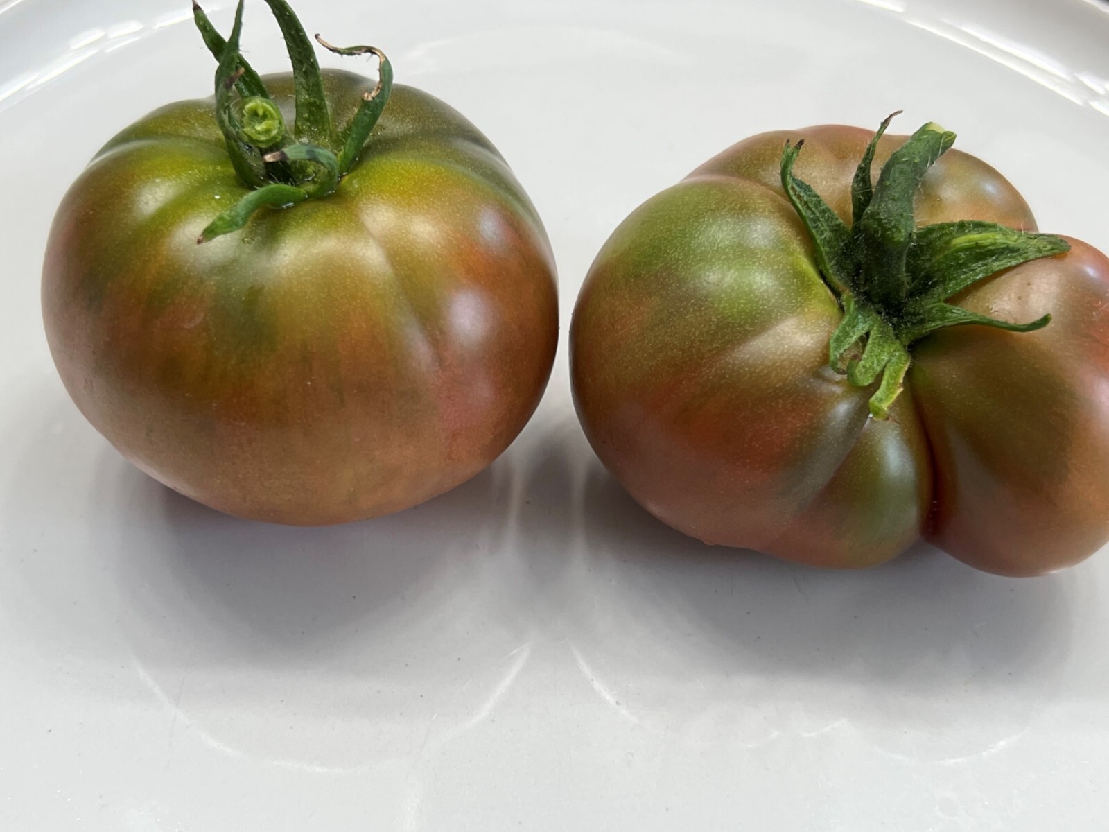 Black Krim Tomato Seeds | Heirloom | Organic