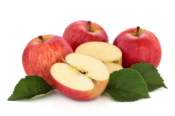 10 Gala Apple Seeds Fruit Tree Organic USA stratified to plant your own trees.