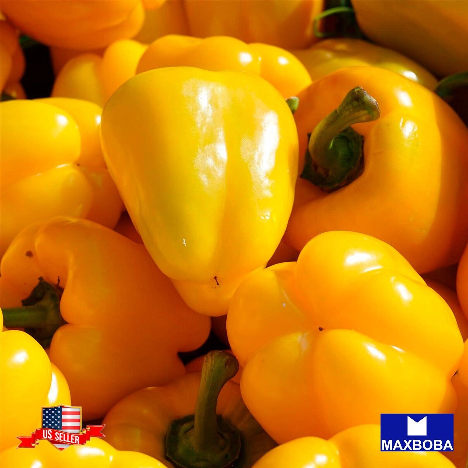 30 Pepper Fresh Seeds – Sweet – Mini Bell Yellow Non-GMO Vegetable