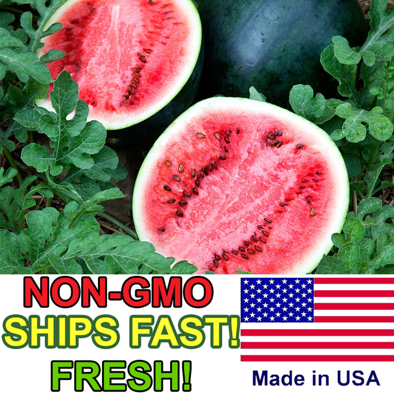 Sugar Baby Watermelon Seeds