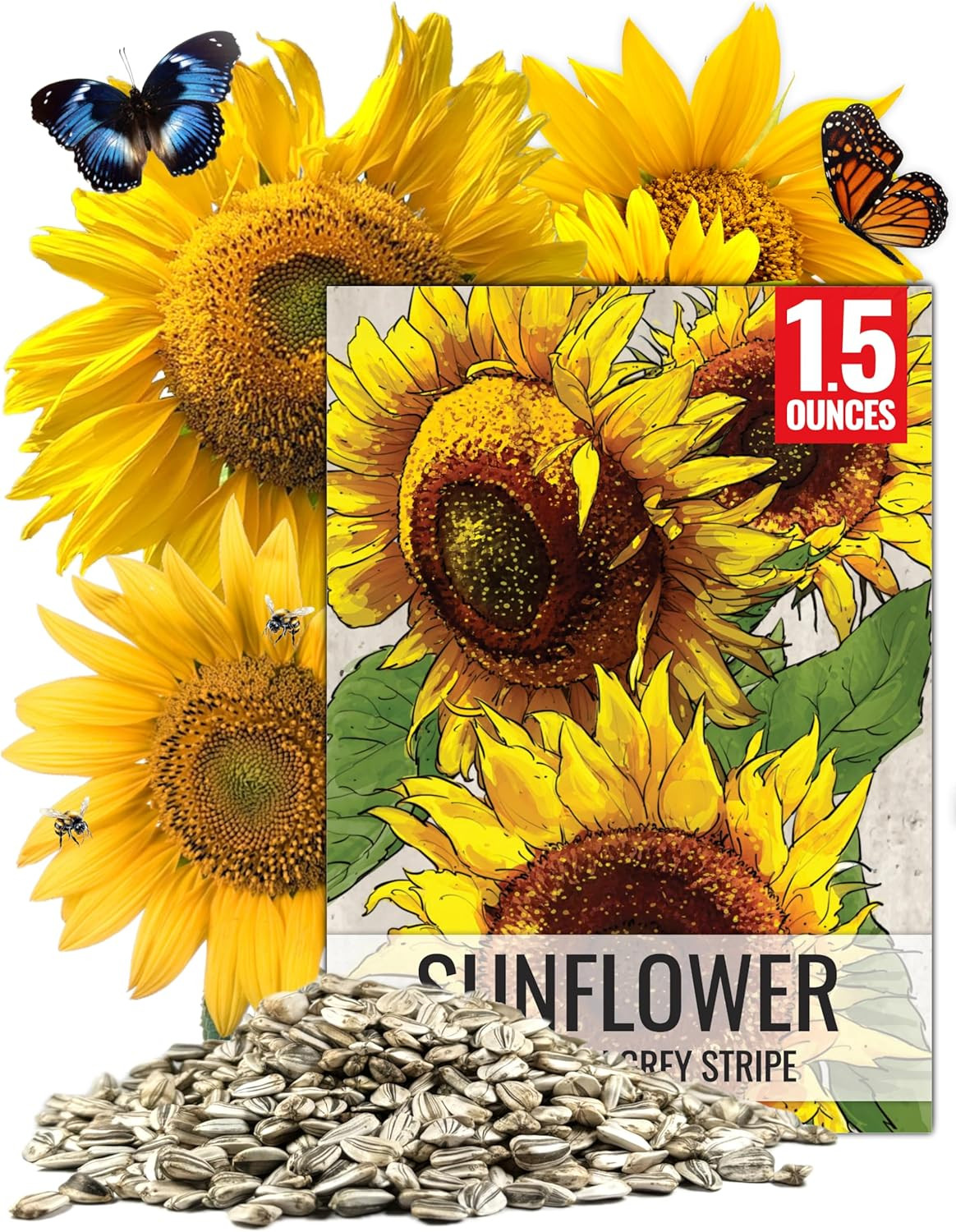 Mammoth Grey Stripe Sunflower Seeds | 600+ Heirloom Seeds Helianthus Annuus Non