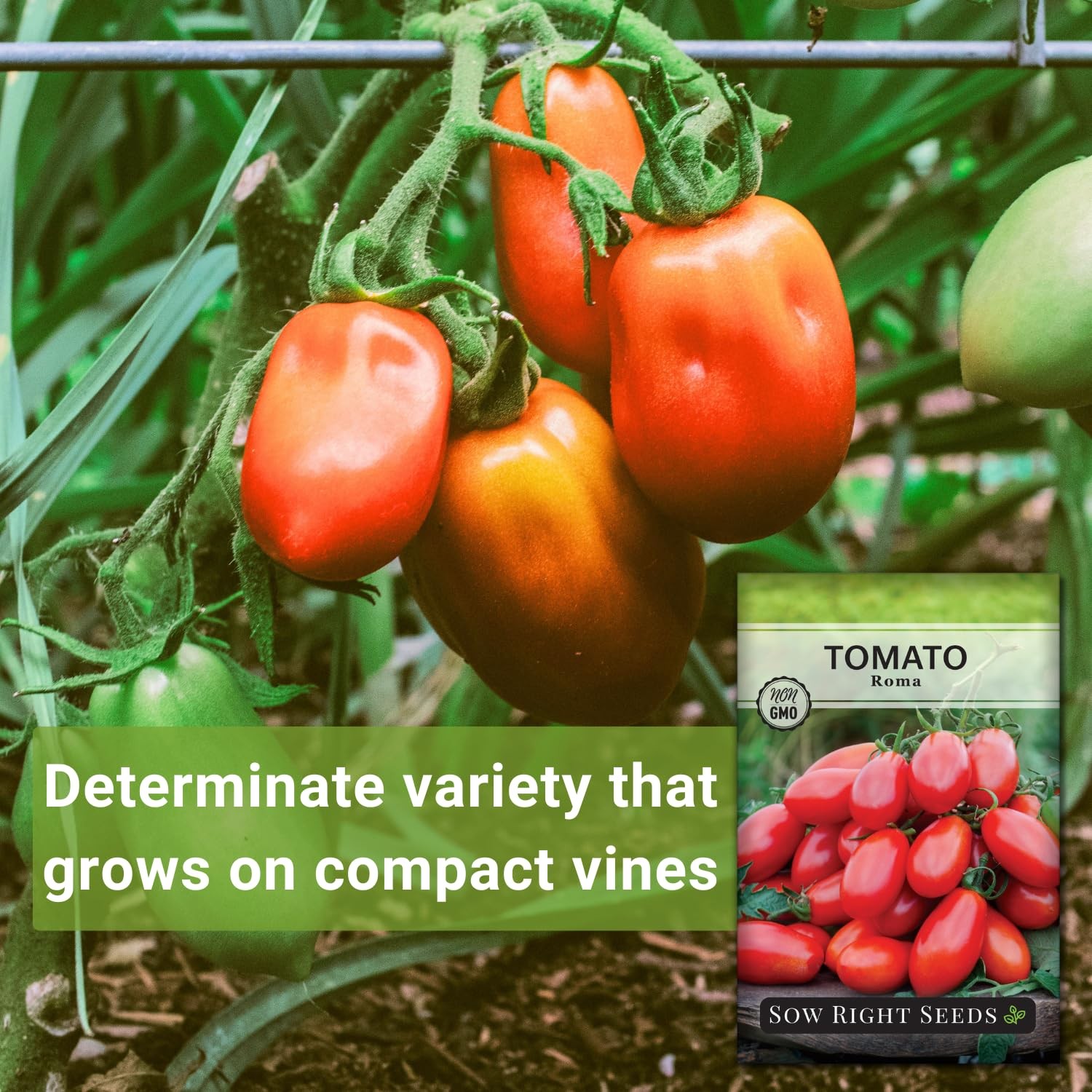 Roma Tomato Seeds Planting NonGMO Heirloom Determinate Garden Sauce Canning 100
