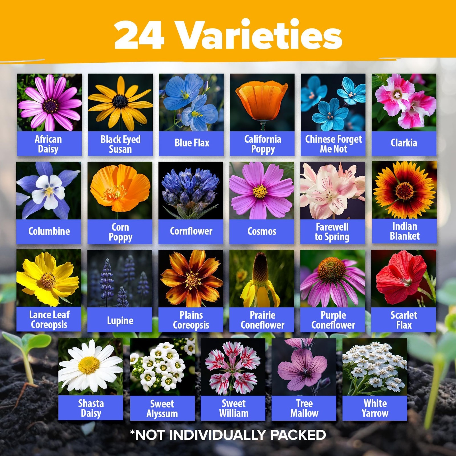 Wildflower Seeds Bulk Mix – 90,000+ Non-GMO Perennial Flower Seeds for Garden –