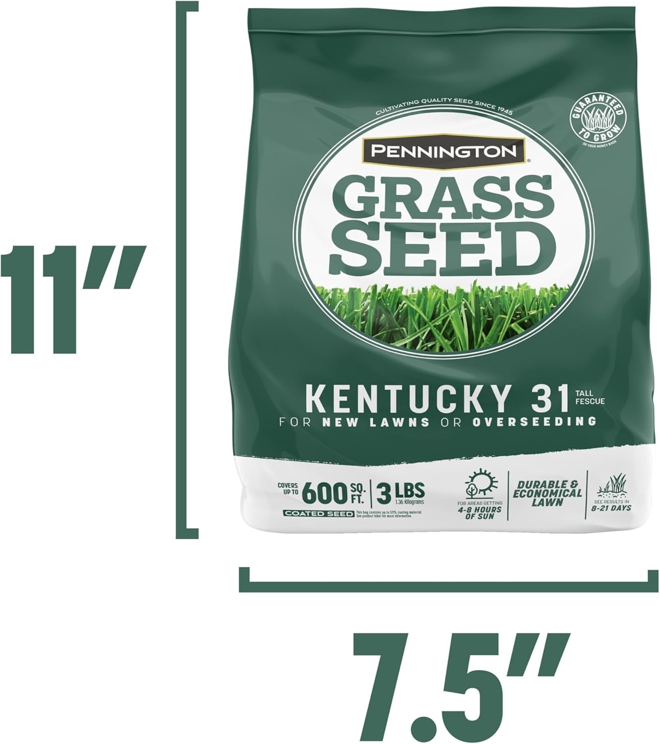3 lb Kentucky 31 Tall Fescue Grass Seed – Fast Germination, Drought-Resistant