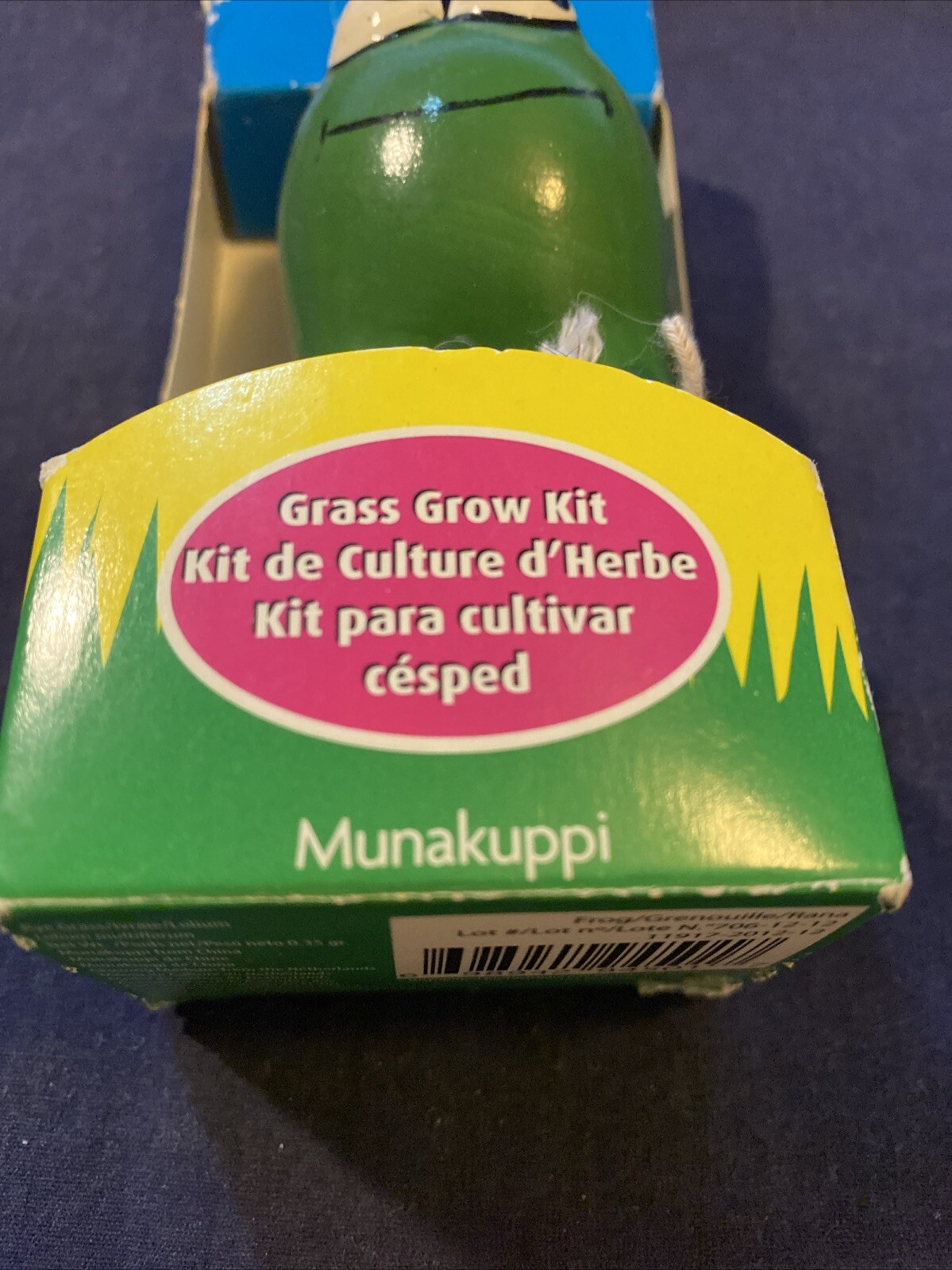 Buzzy Munakuppi Grass Grow Kit Seeds and Soil Included Ceramic Frog Vase