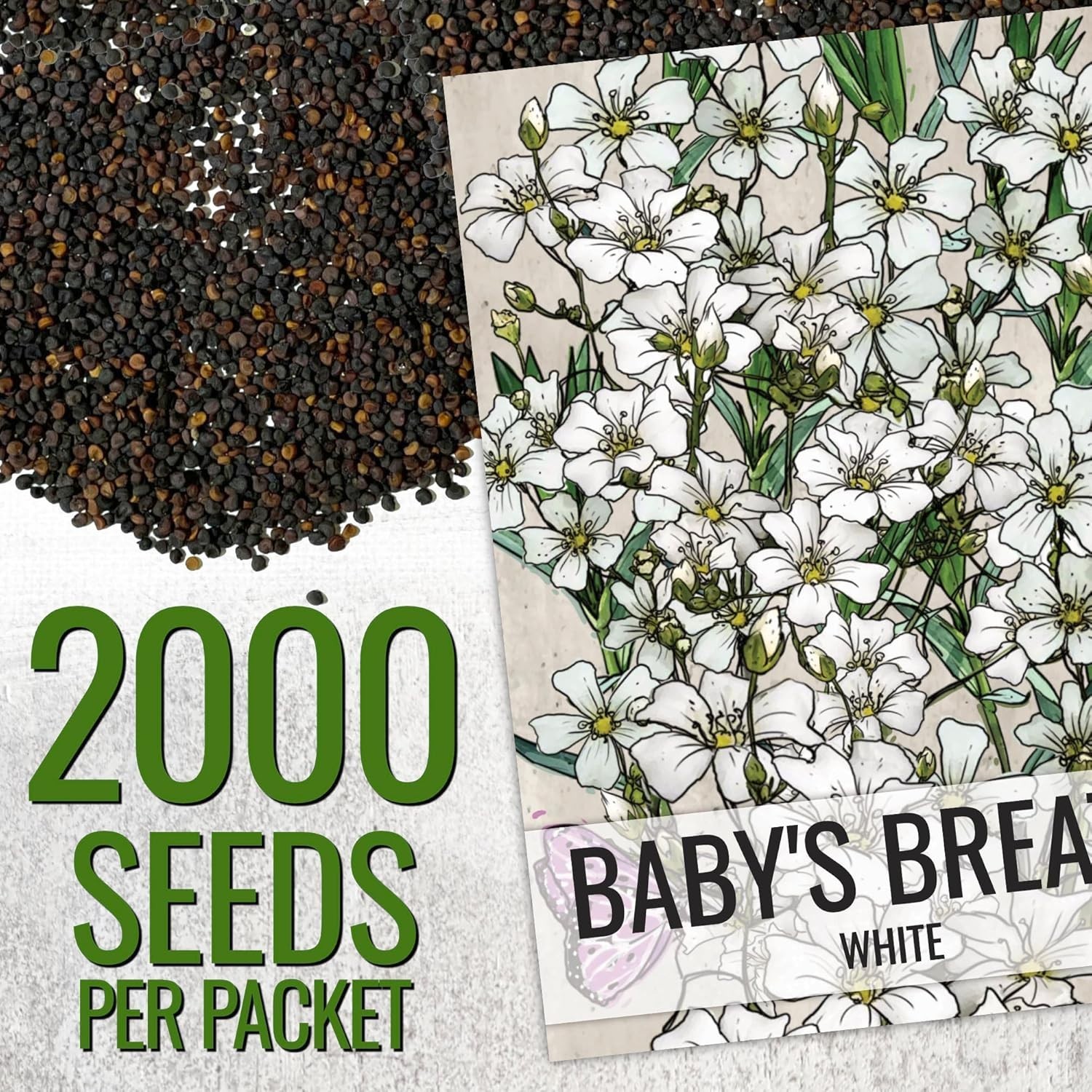 Open Pollinated White Baby’s Breath Seeds – 2000 Count for Floral Beauty