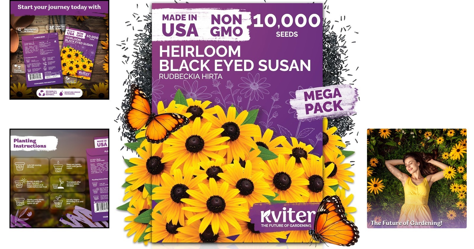 Wildflower Seed Pack Black Eyed Susan for Summer Blooming Gardens